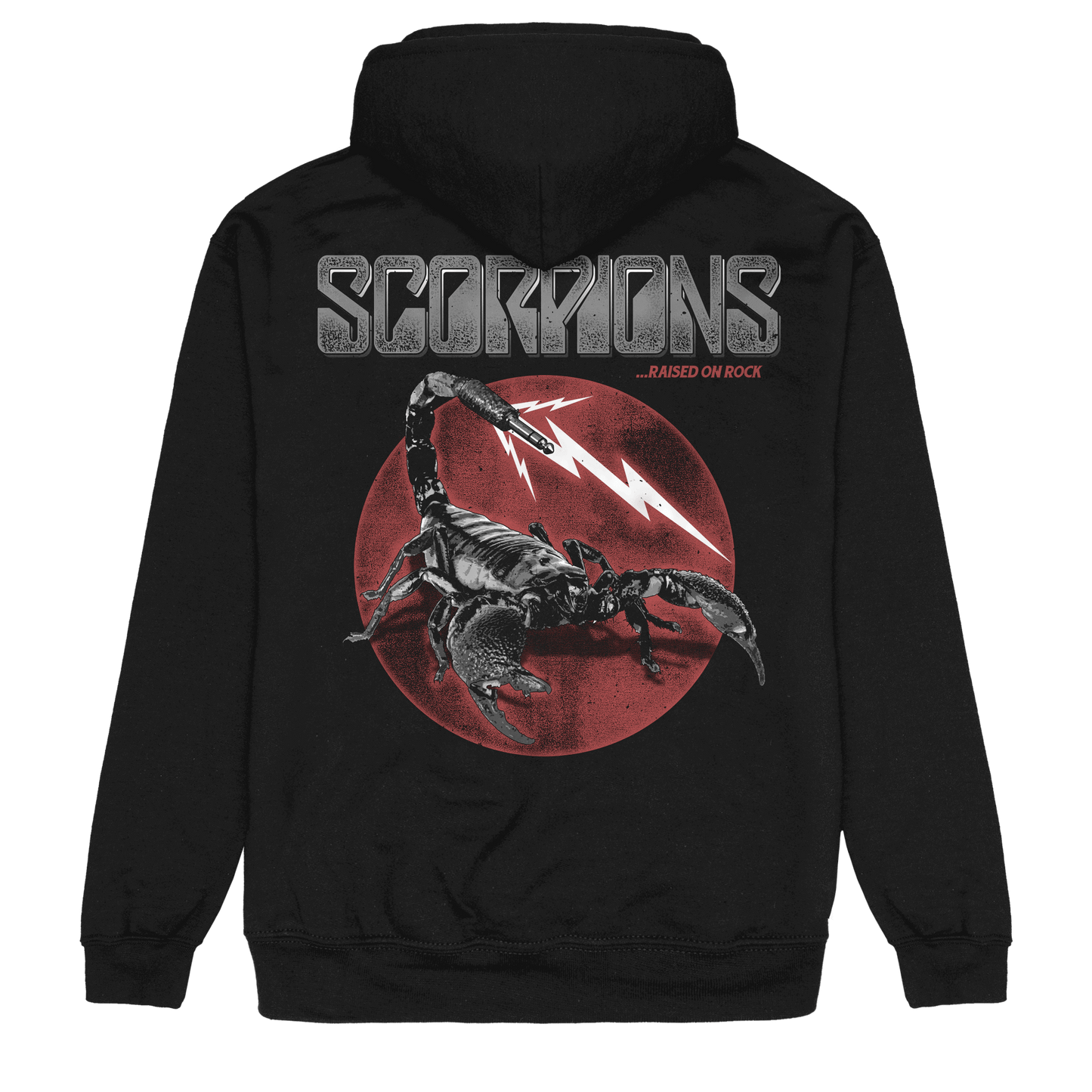 Raised On Rock Hoodie